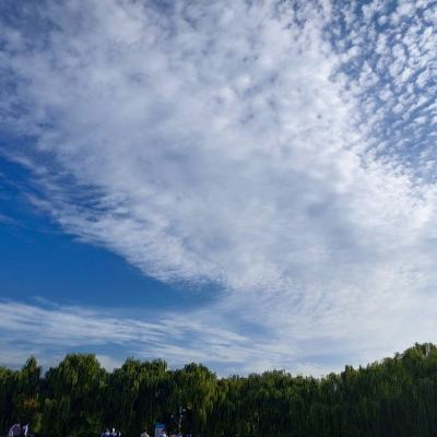 封印师出击最新版下载